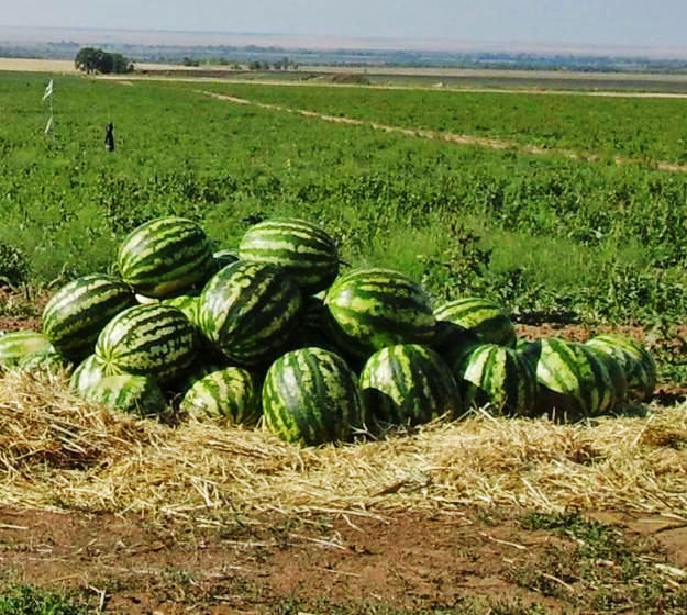 Каховський район